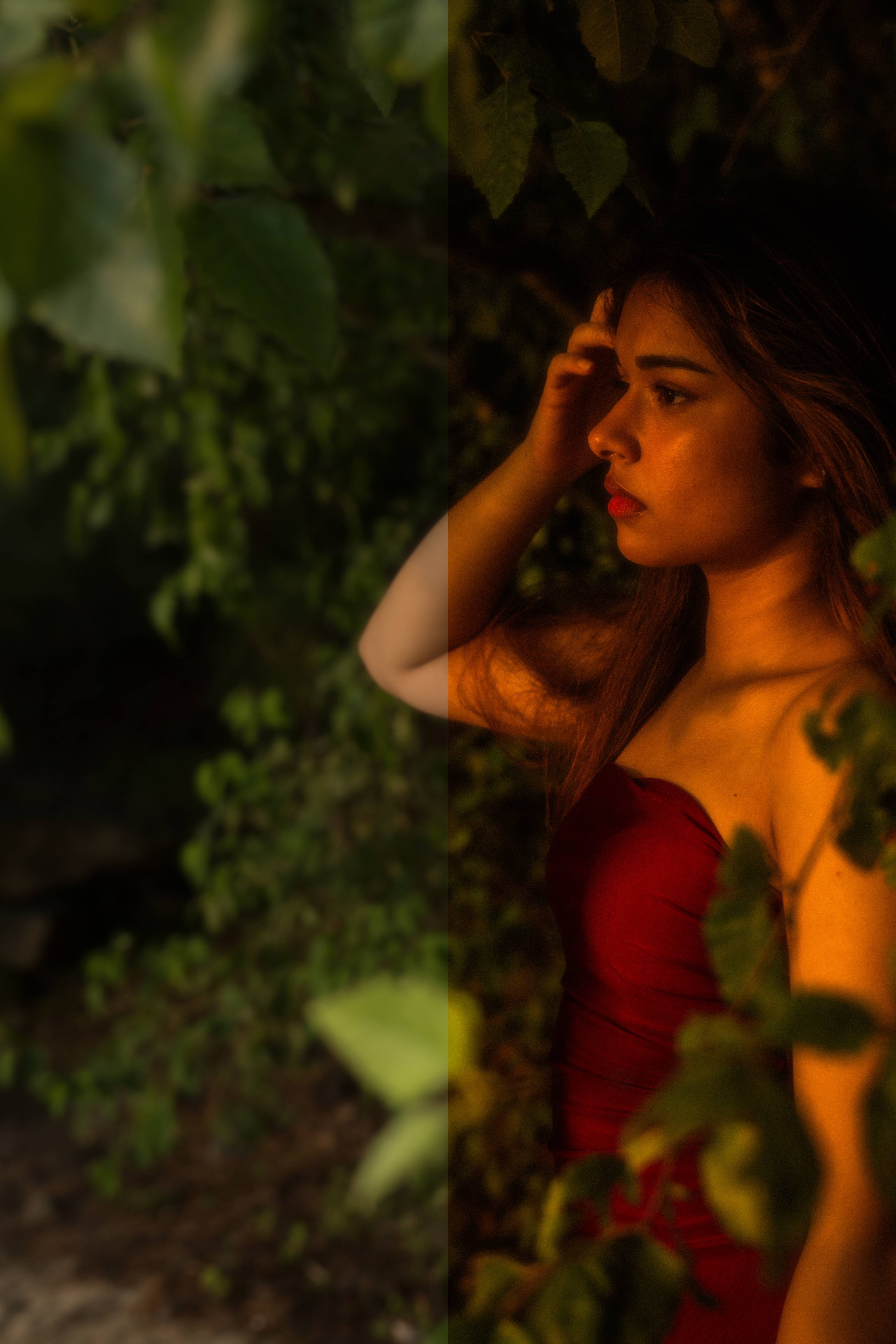 NOVAE | vyla. V2 Presets